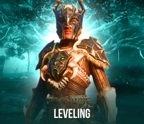 New World Leveling